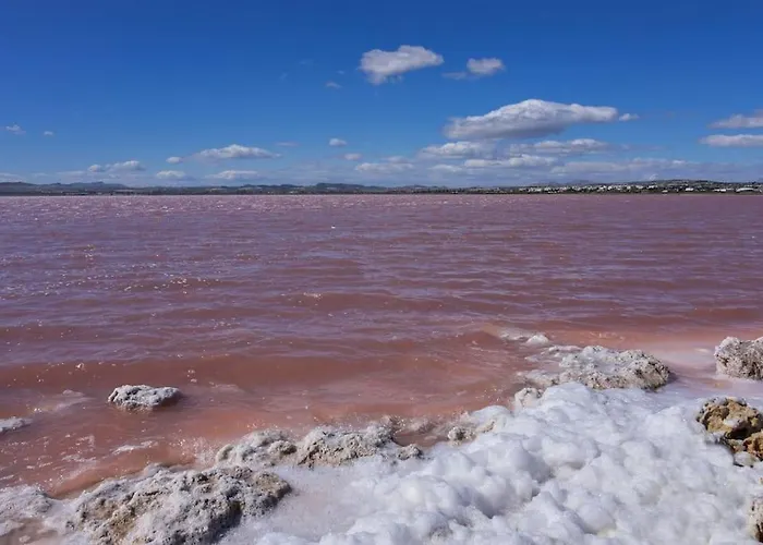 Appartement El Corazon De Torrevieja